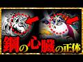【全く同じ...】「鋼の心臓」 の衝撃の正体...!!!【ワンピースネタバレ】