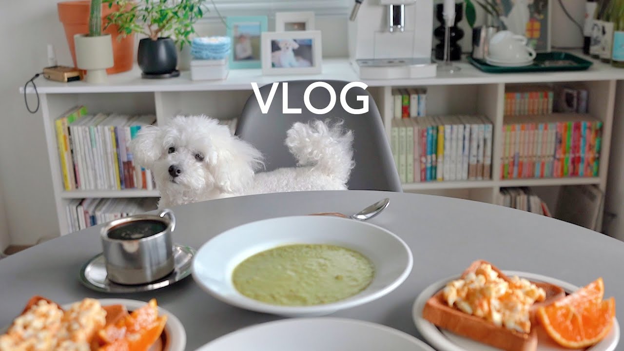 Проснитесь в 6 утра, чтобы неспешно позавтракать со своим пуделем