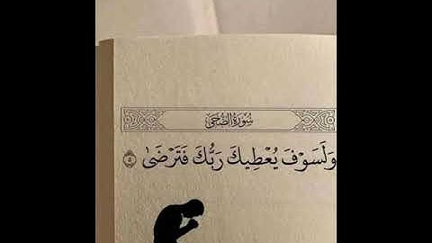 ارح سمعك وقلبك❤️تلاوة هادئة ❤️ آيات من كتاب الله بصوت الشيخ عبد الباسط عبد الصمد🌺#راحة_نفسية