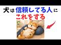 【特別の証】犬が信頼している人の前でだけ見せる行動