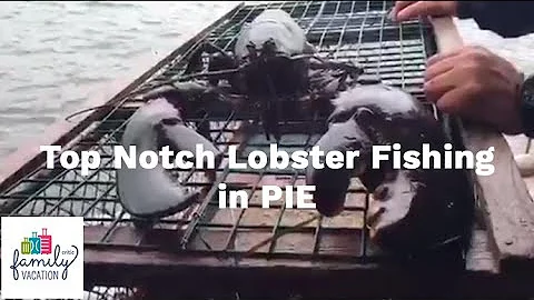 Top Notch Lobster Fishing in Prince Edward Island ...