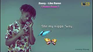 zeezy- like Damn video lyrics