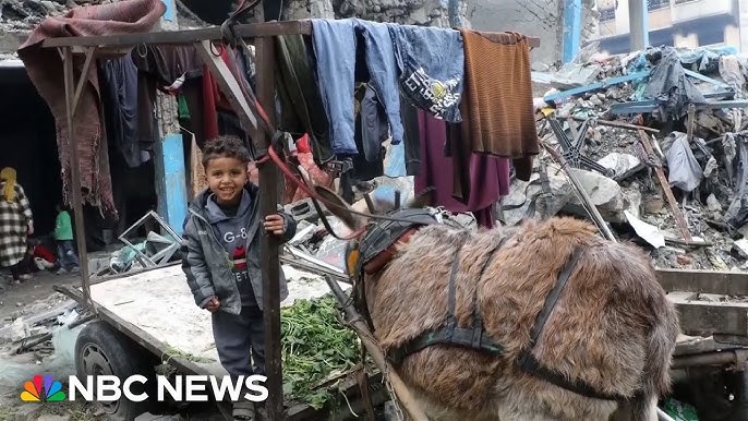 Displaced Gazan Families Find Shelter In A Destroyed School