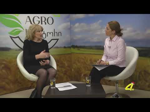 ძროხის ჯიშობრივი უპირატესობა, წველადობის შენარჩუნება ზამთრის სეზონზე და პროდუქტიულობის გაზრდა