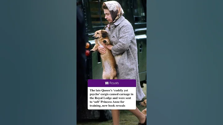 Queen Elizabeth's 'cuddly yet PSYCHO corgis'