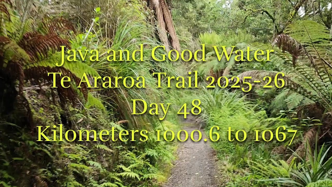 Te Araroa 2025-26 Day 48 | Timber Trail Day 2 to Taumarunui