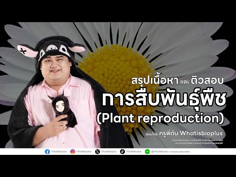 วีดีโอ: ละมั่งดำ: คำอธิบาย ถิ่นที่อยู่ ลักษณะพันธุ์ การสืบพันธุ์ วงจรชีวิต ลักษณะและลักษณะพิเศษ