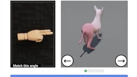 Fix Use the arrows to rotate the animal to face in the direction of the hand Captcha Problem Solve