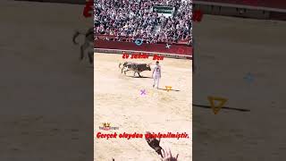 Ev Sahi̇bi̇ Vs. Ki̇raci. I Ğlence