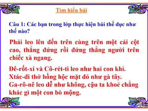 TẬP ĐỌC LỚP 3 TUẦN 29 BUỔI HỌC THỂ DỤC