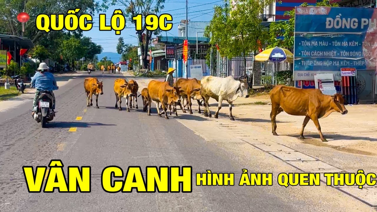 ĐƯỜNG TỪ LONG MỸ (QUY NHƠN TÂY) LÊN TT. VÂN CANH