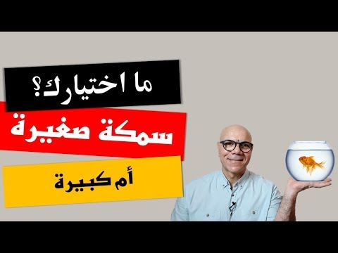 كن سمكة كبيرة فى حوض صغير الاستراتيجية الأفضل لاستهداف العملاء