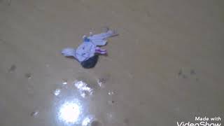 Zoe Se Molhou E Coloquei Papel Roxo Nela