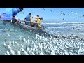 Amazing Big Catching and Processing Fish on The Sea || Amazing fishing skills