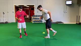 Single Leg Line Hops (Fwd/Rev)