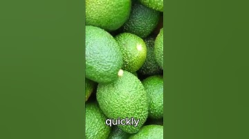 History of cooking oil