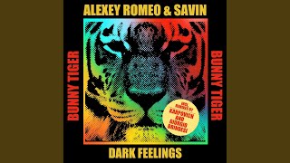 Dark Feelings (Giorgio Brindesi Remix)