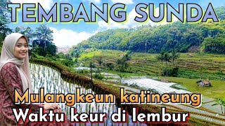 TEMBANG SUNDA MULANGKEUN KATINEUNG WAKTU KEUR DI LEMBUR #tembangkatineungofficial
