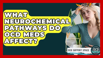 What Neurochemical Pathways Do OCD Meds Affect? - OCD Support Space