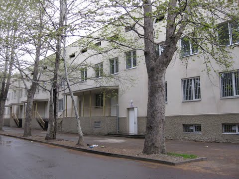 ჩინეთიდან  ჩამოსული 25 წლის ქალი ინფექციურ  საავადმყოფოში გადაიყვანეს