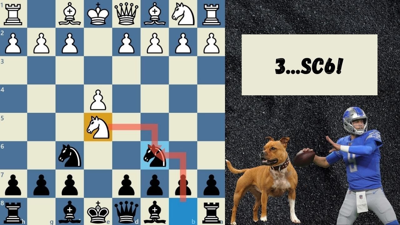 Najbolji gambit u sahu za crnog (Stafordov gambit)