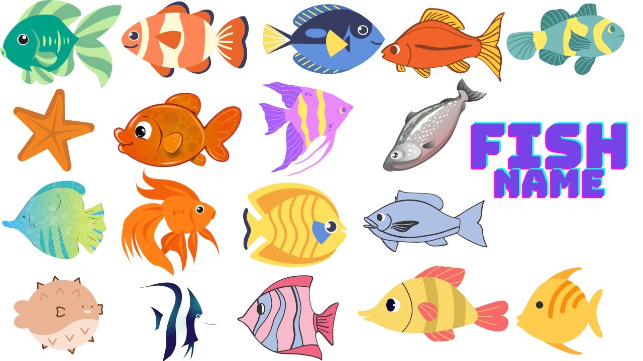 Fish Name In English Learn Fish Name Indian Fish Names In English fish-name-in-english-learn-fish-name-indian-fish-names-in-english