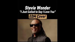 Stevie Wonder – I Just Called to Say I Love You (EDM Version)