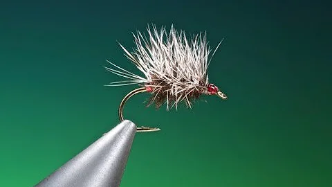 Tying a Paraloop Griffiths with Barry Ord Clarke