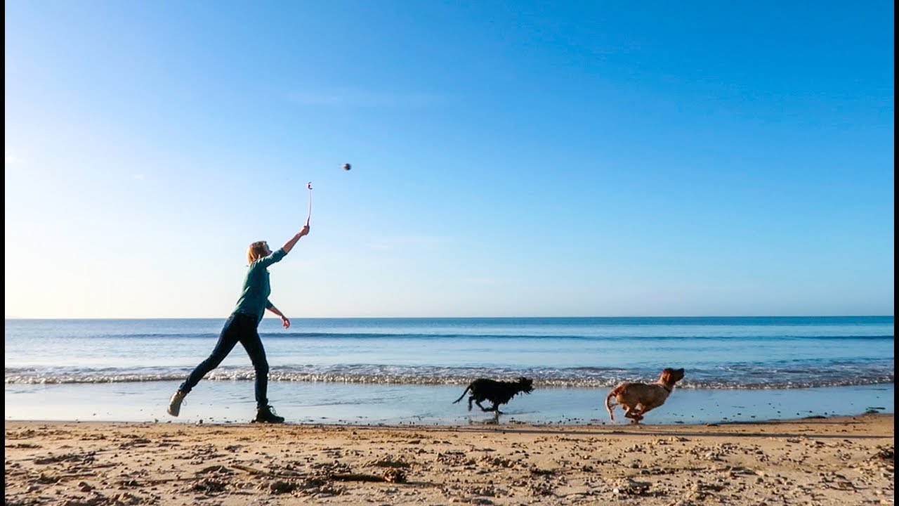 Explore Scotland The Joys of Dog Walking on the Moray Coast YouTube