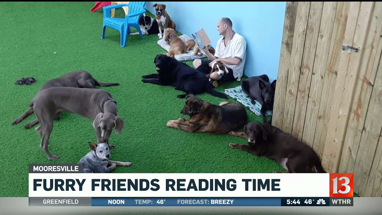 Furry Friends Stay and Play in Mooresville YouTube