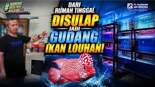 NOT AN ORDINARY HOUSE!! THIS HOUSE HOUSES THOUSANDS OF SHOW-QUALITY FLOWERHORN FISH!! — DeQueen A...