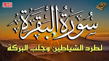 سورة البقرة كاملة لحفظ وتحصين المنزل وطرد الشياطين تلاوة هادئة للقارئ أحمد ديبان Sourah Baqara