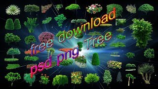 Tree-Psd Png-Free Download//New Data 2019//N&S information Noman Studio