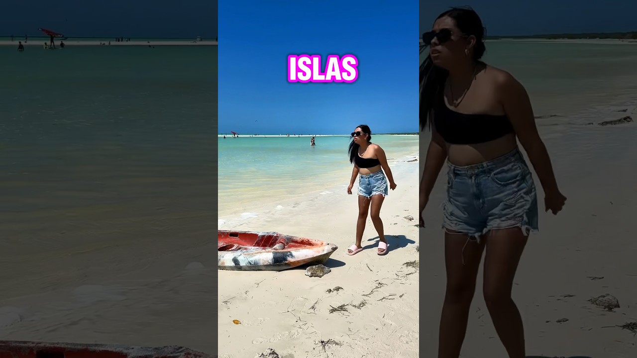 Viaje una ISLA ABANDONADA a buscar al perro más famoso del mundo ?