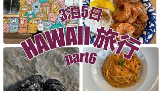 【vlog】HAWAII旅行...part6✈️ カカアコ/ジョバンニ/アランチーノ