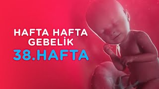 Hamilelikte 38. Hafta - Hafta Hafta Gebelik | İlk Adımlarım