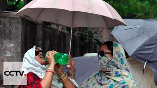India Heatwave: Severe heatwave claims over 300 lives