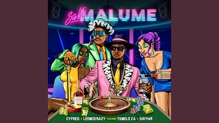 Saka Malume (feat. Tumelo_za, Sayfar) (Radio Edit)