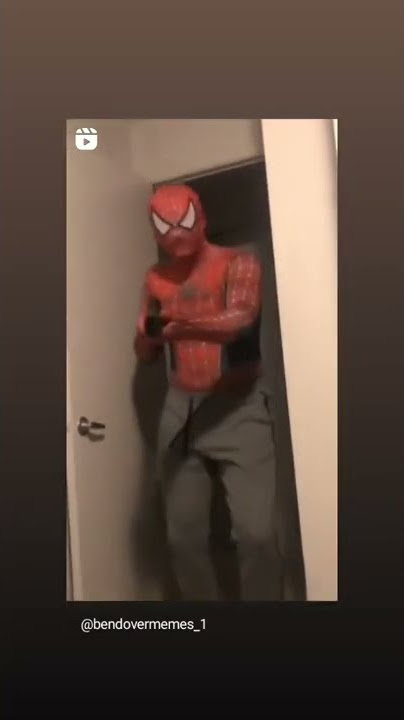 spider bob
