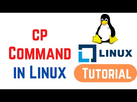 Linux Command Line Basics Tutorials - cp Command in Linux
