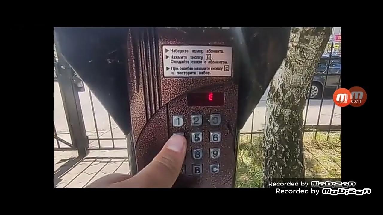 домофон цифрал(3) - YouTube