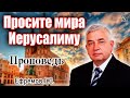 "Просите мира Иерусалиму" Ефремов Г.С.