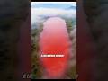 This Lake Turns Animals Into Stone 💀 | Lake Natron Mystery