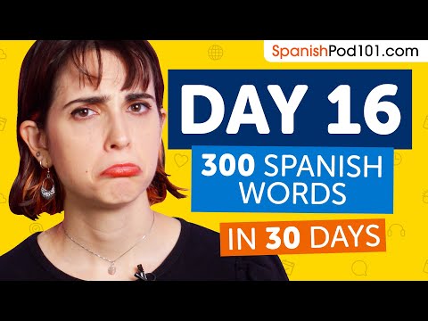 Day 16: 160/300 | Learn 300 Spanish Words in 30 Days Challenge