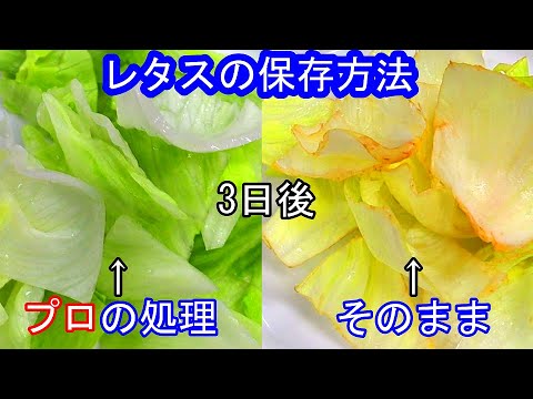 [How to save lettuce! ] Does not discolor! You can also get Egumi! Get to know!