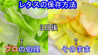 How to save lettuce! ] Does not discolor! You can get rid of bitterness!
