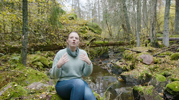 Client Website Content: Synne Linden of Lindentree candidly discusses Your Storytelling Roadmap