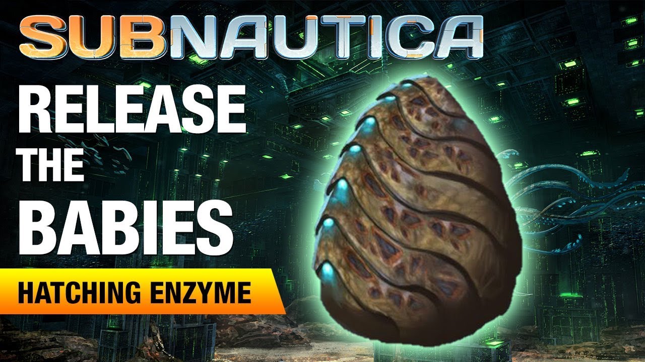 Subnautica инкубационные ферменты. Enzyme 42 Subnautica. Subnautica инкубационные ферменты места. Sea Crown Seed.