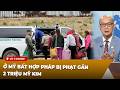 Thời Sự Thế Giới P5 (05-01-2026) Ở Mỹ ʙấᴛ ʜợᴘ ᴘʜáᴘ ʙị ᴘʜạᴛ gần 2 triệu mỹ kim