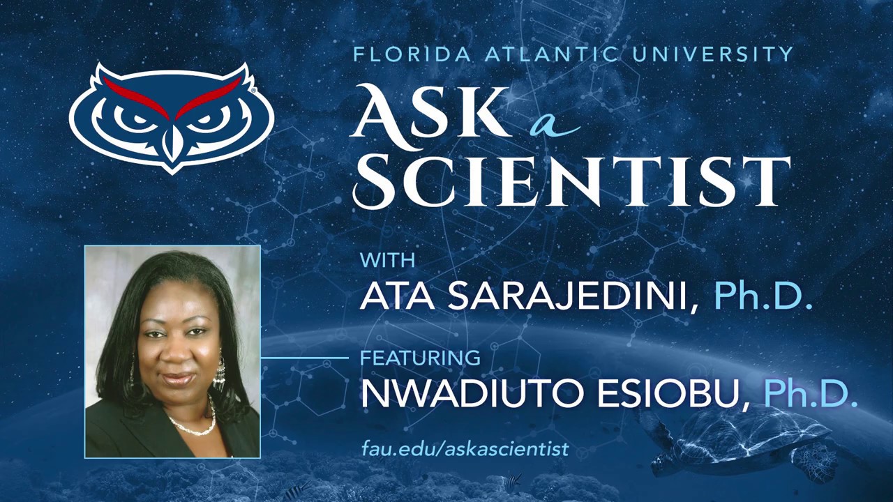 Ask A Scientist Florida Atlantic University Charles E Schmidt College Of Science